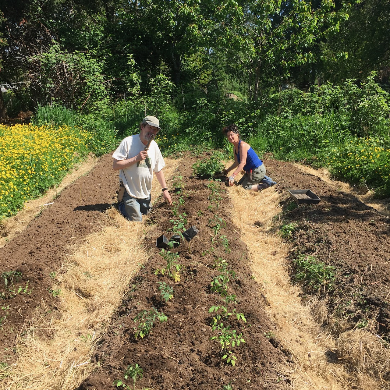 Seed Garden Day – Sunday July 30th