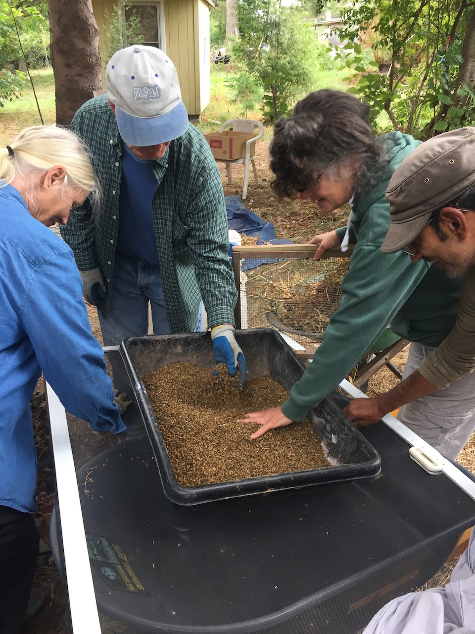 Seed Saving and Processing Workshop